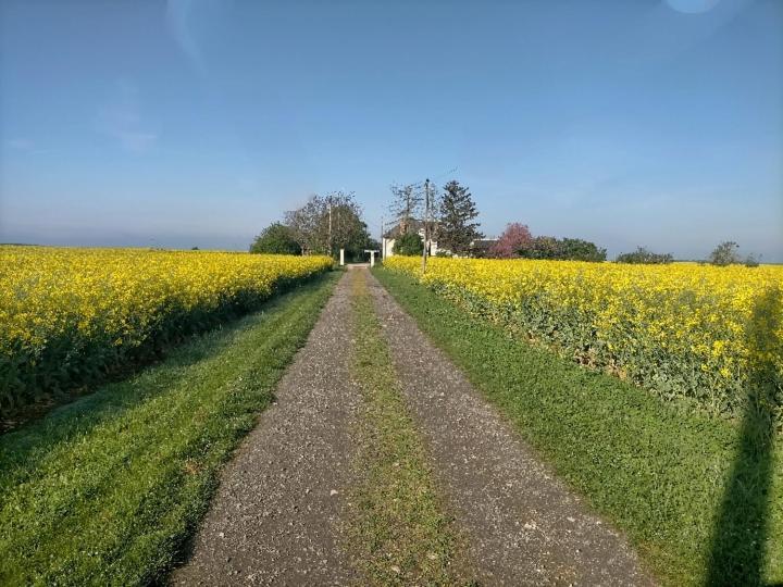 Studio " Tournesol " Au Coeur Du Berry Les Bordes Exterior photo